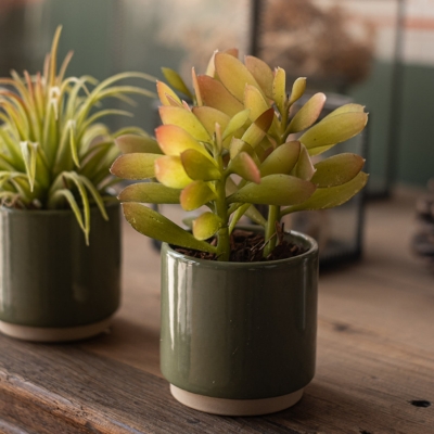 Le Lot de 9 plantes - Pots Verts #Artificiel