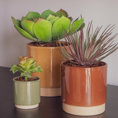 Le Trio Succulentes - Pot Colorés #Artificiel