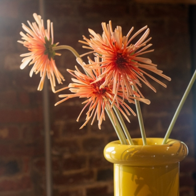 Les Gerberas Spider Roses - Vase Mario #Artificiel
