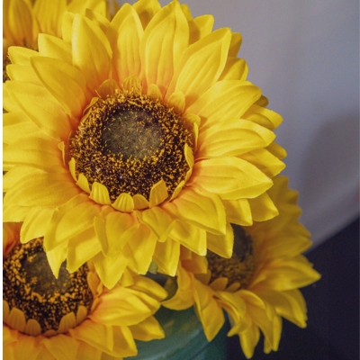 Les Tournesols - Pot Mario #Artificiel
