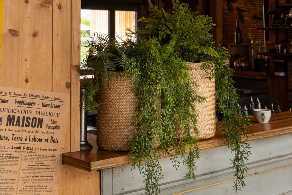 La Tombante Jasmin - Pot Tressé #Artificiel