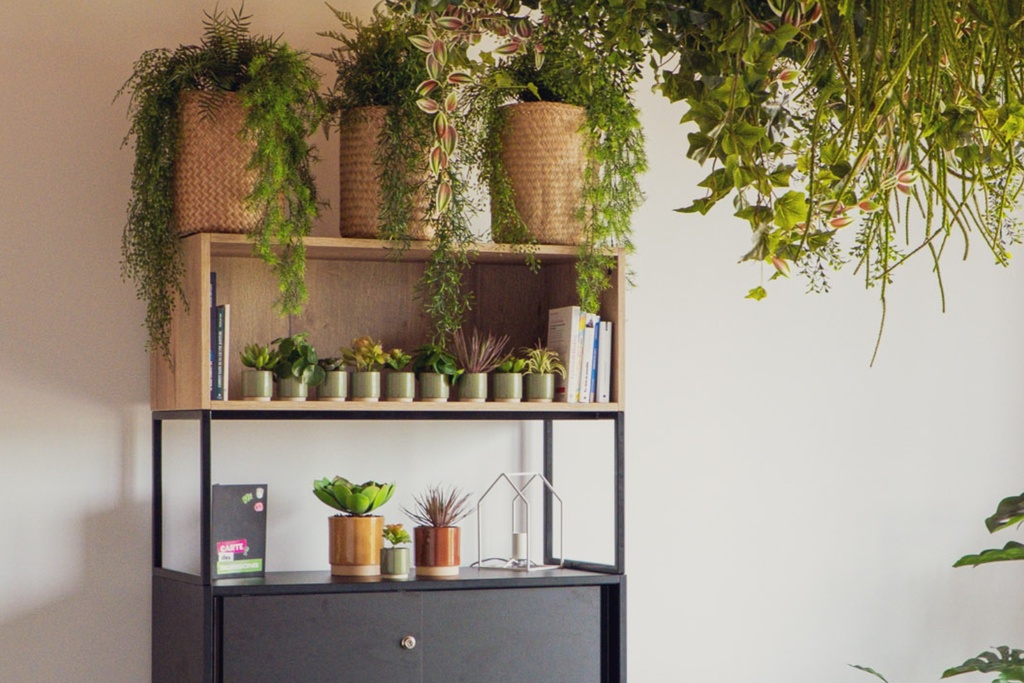 Le Lot de 9 plantes - Pots Verts #Artificiel