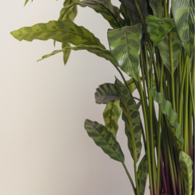 Le Calathea - Pot Tissu Beige #Artificiel