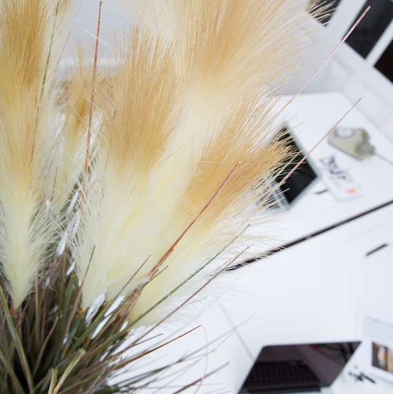 La Pampa - Pot Tissu Beige #Artificiel