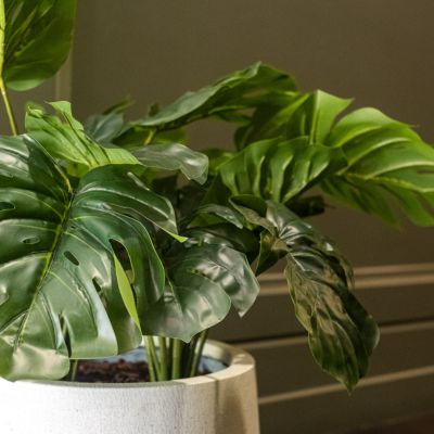 La Petite Monstera - Pot Rond Blanc #Artificiel