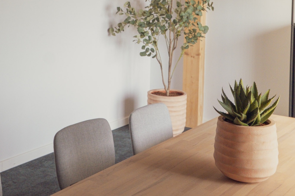 L'Aloé - Pot Terracotta #Artificiel