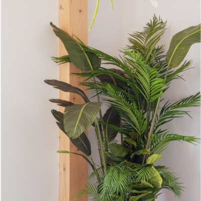 La Bornéo - Pot Terracotta #Artificiel