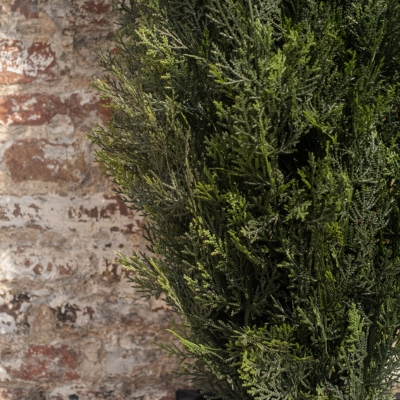 Le Cyprès - Cube Haut Blanc #Extérieur #Artificiel