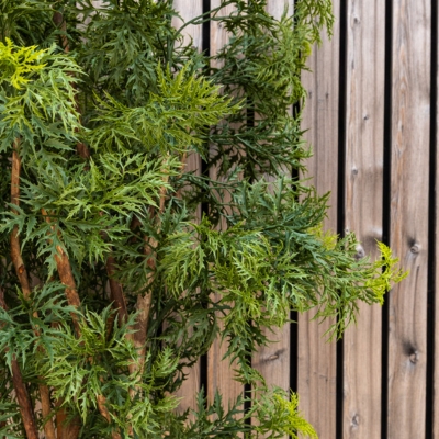 L'Aralia - Cube Noir #Extérieur #Artificiel