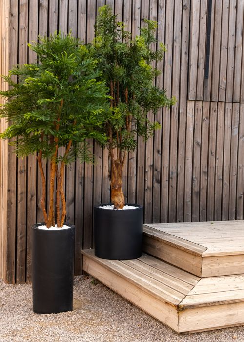 L'Aralia - Cube Noir #Extérieur #Artificiel