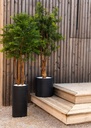 Le Tamarinier - Cube Haut Blanc #Extérieur #Artificiel