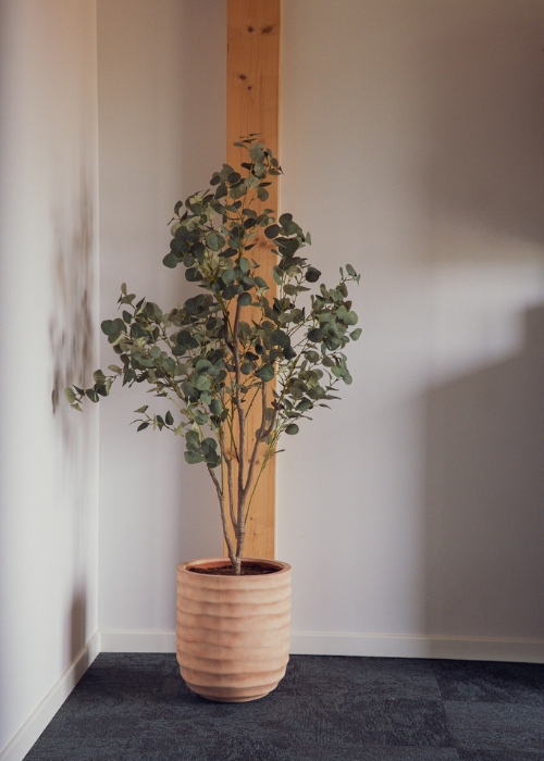 L'Eucalyptus - Pot Terracotta #Artificiel