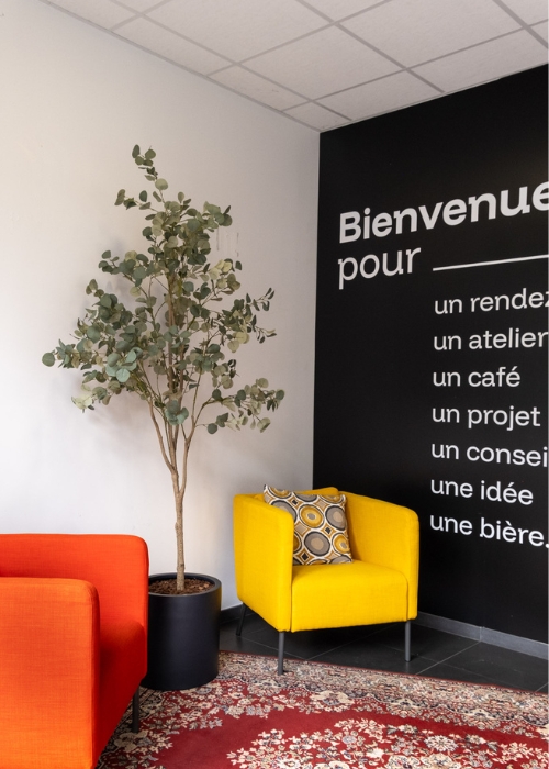 L'Eucalyptus - Cylindre Noir #Artificiel