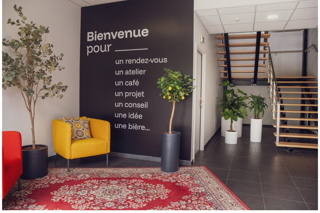 L'Eucalyptus - Cylindre Noir #Artificiel