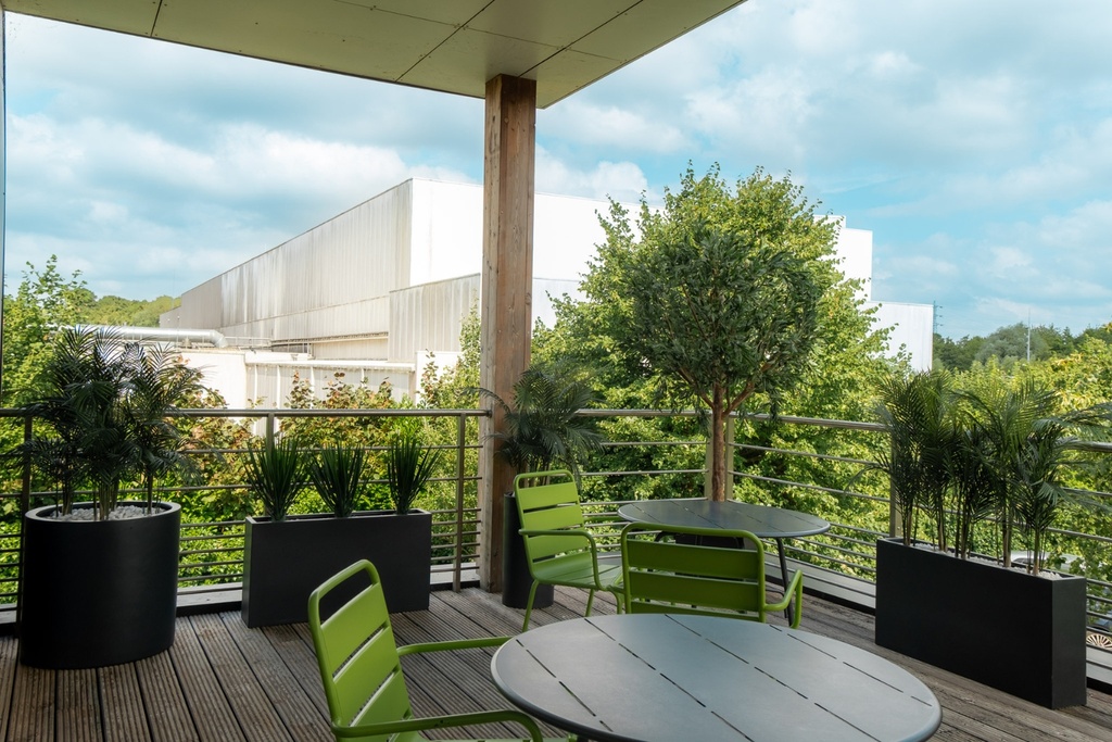 L’Olivier 230 - Cylindre Noir #Extérieur #Artificiel