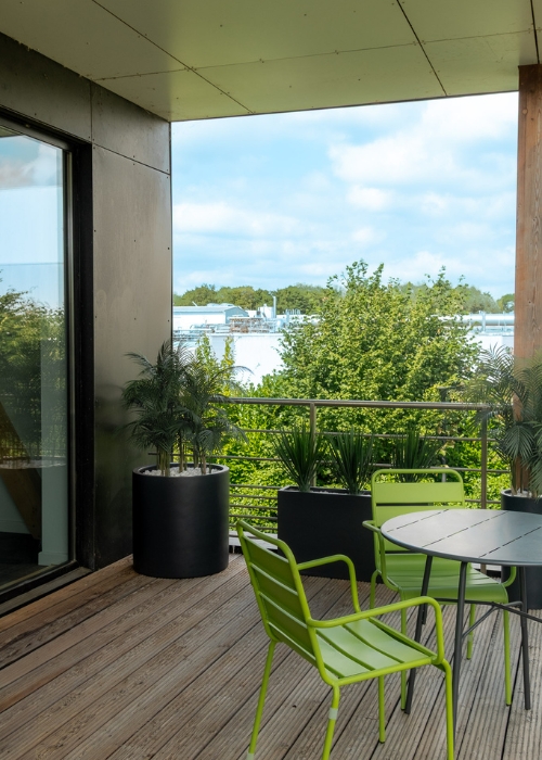 Séparateur S. Yuccas - Bac Noir #Extérieur #Artificiel