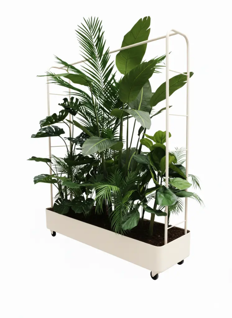 ludiq borneo crème profil.webp