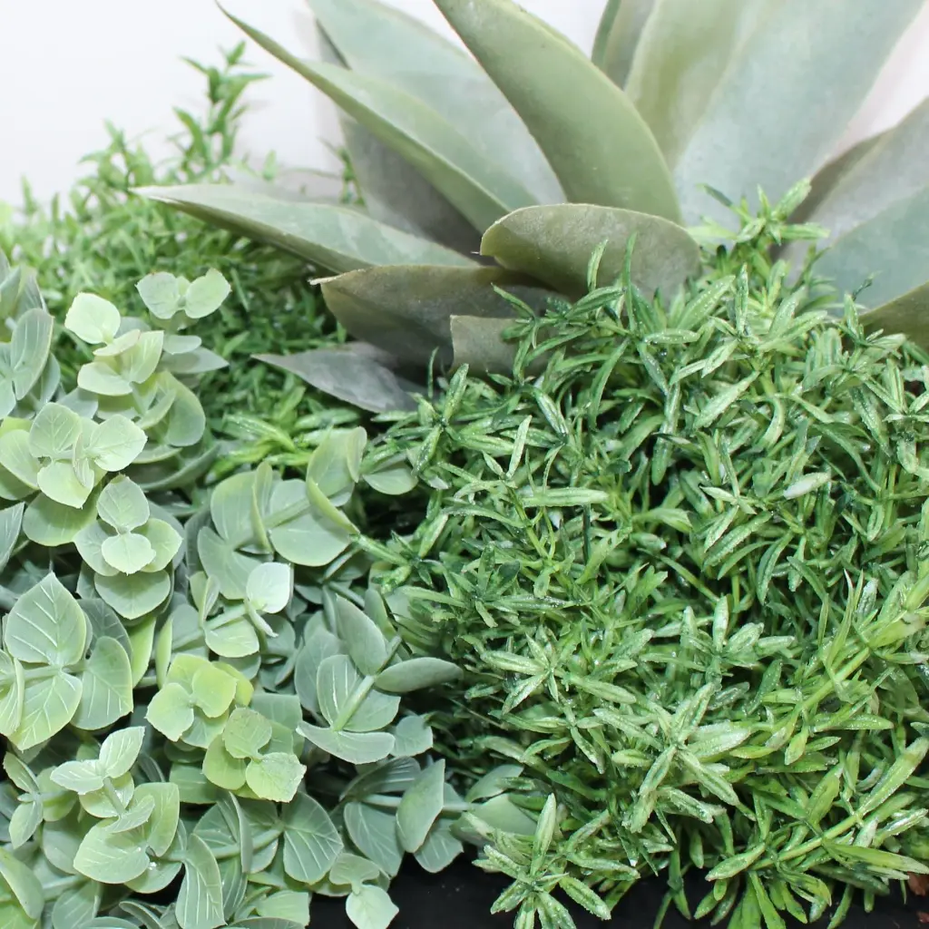 Zoom Mexico 16.50.07.webp