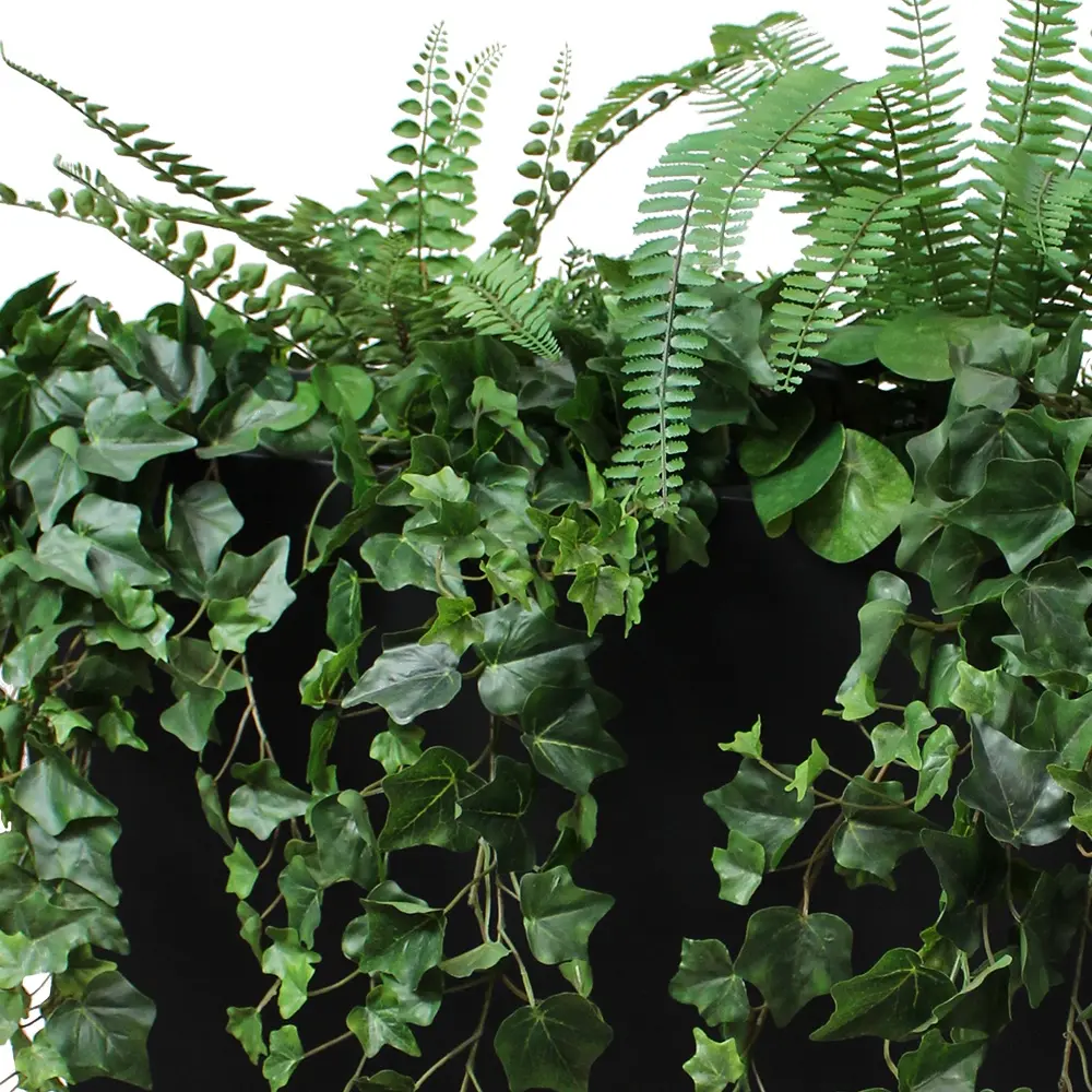 Zoom Quito Lierres.webp