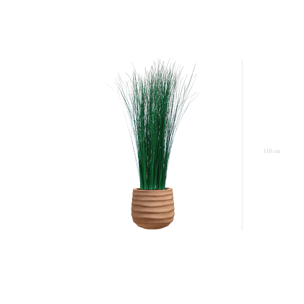 das kleine Grass - terracotta Topf #stabilisiert