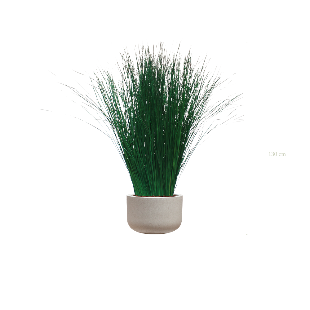The Tall Grass in a mineral grey pot #Stabilized