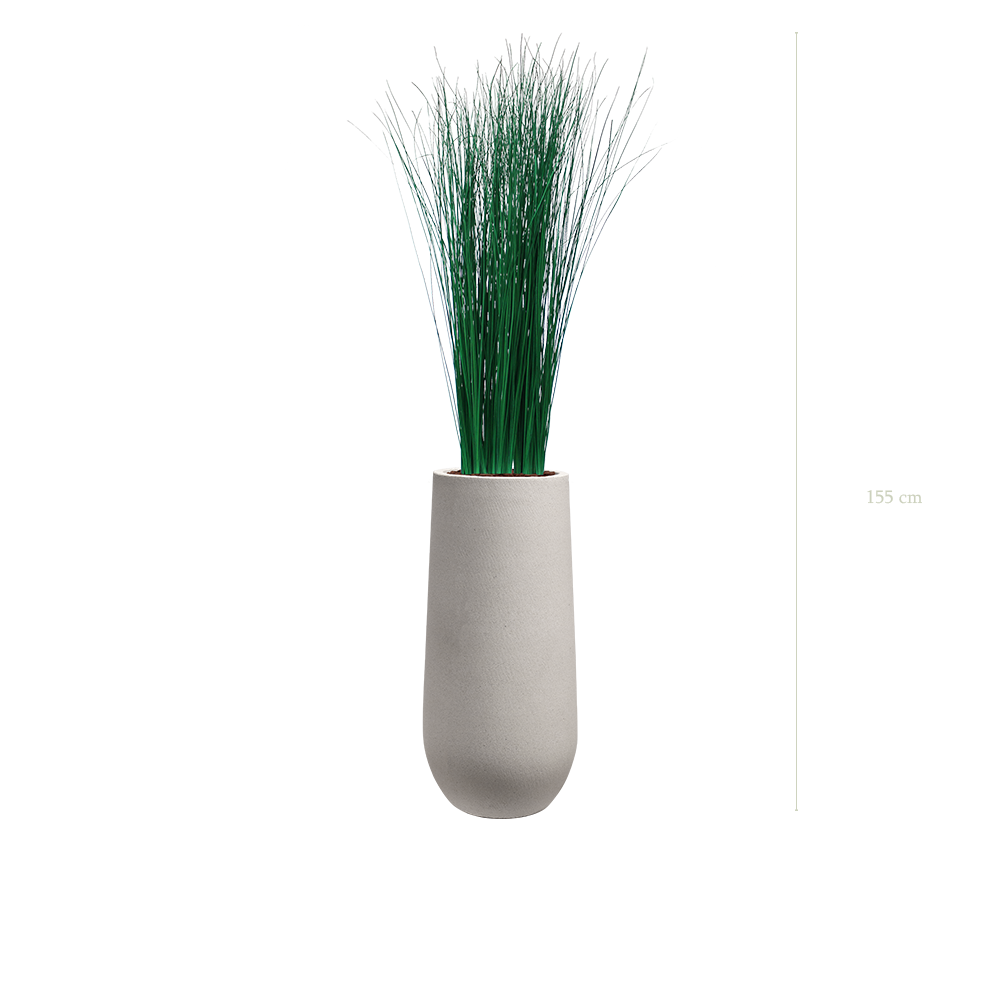 The small Grass in a mineral grey pot #Stabilized