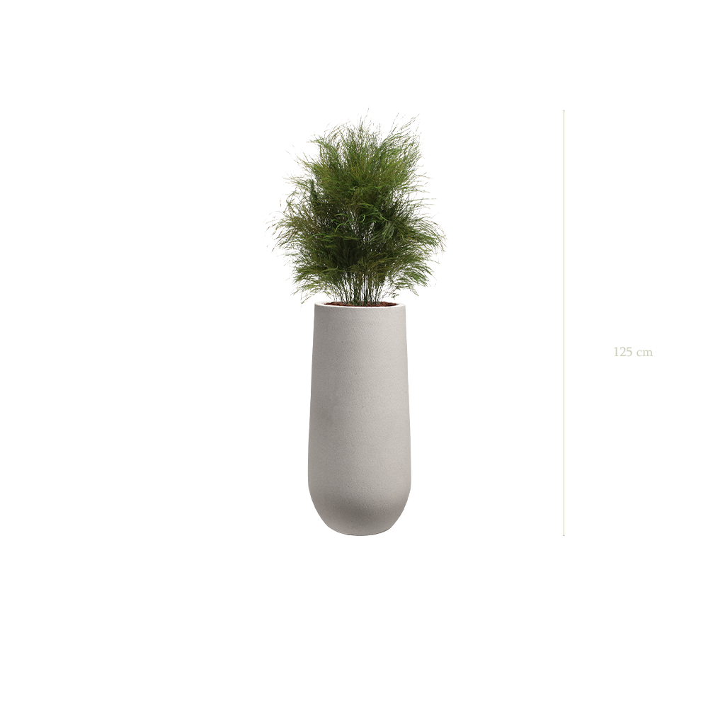 L’Herbe Folle - Pot Sable #Stabilisé