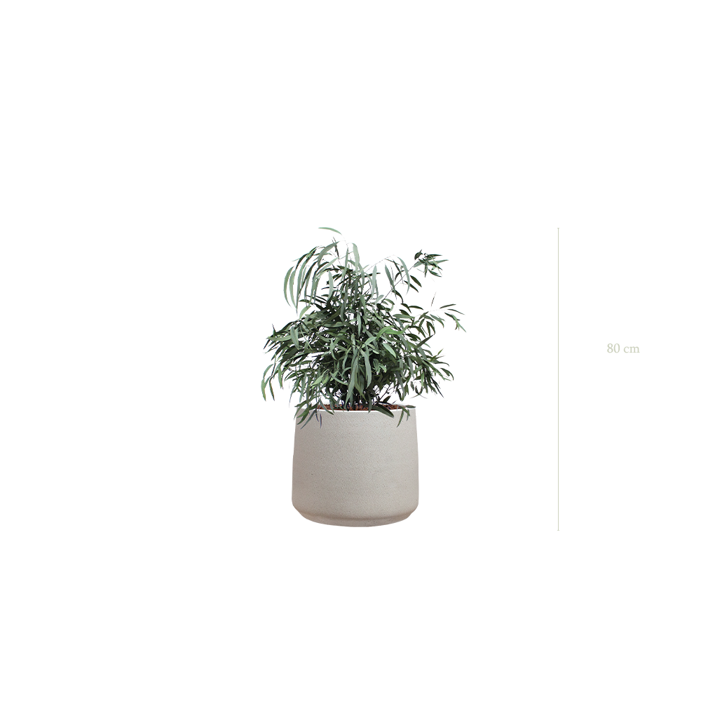 der kleine Nicoly - grau Sandtopf #stabilisiert