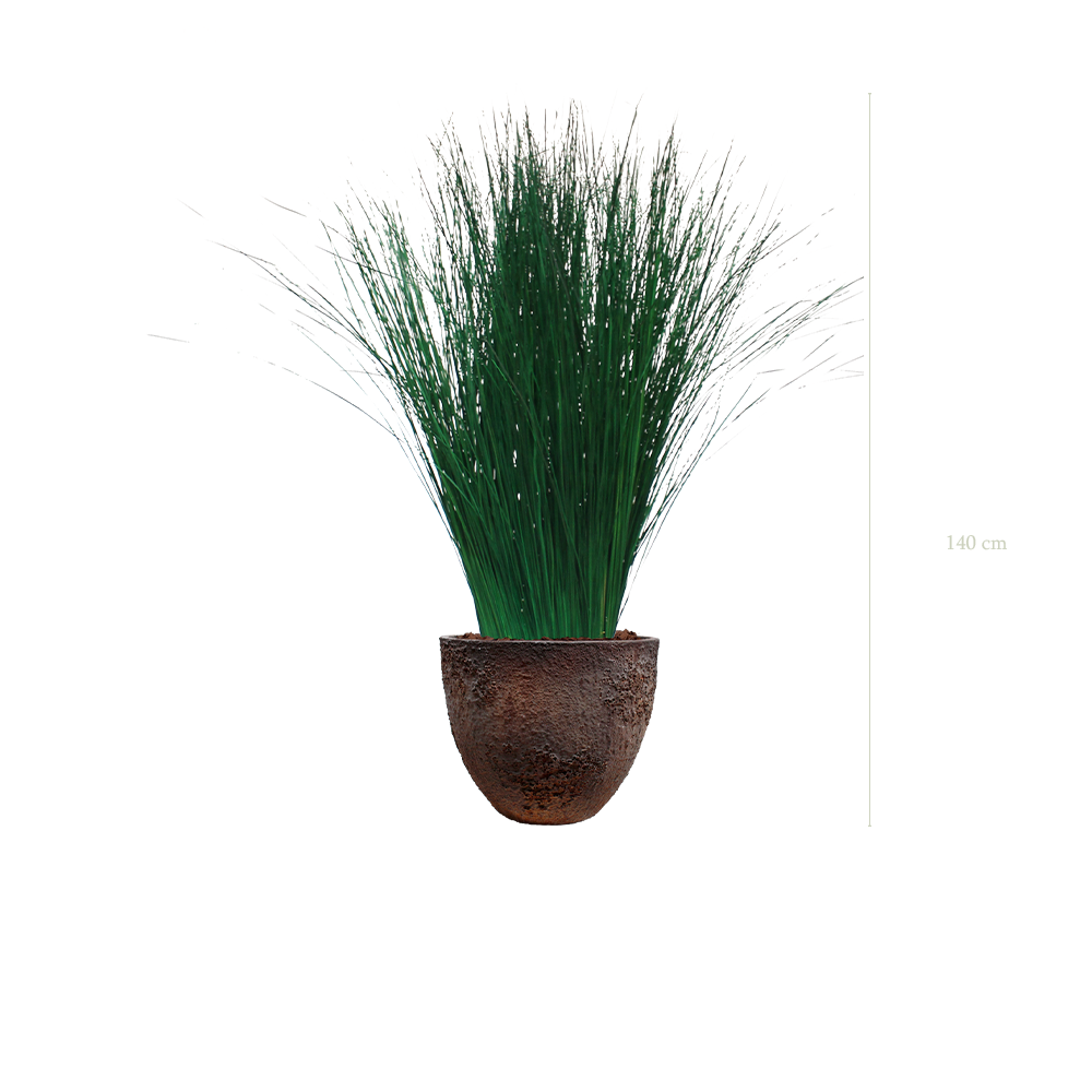 The Tall Grass in a brown oyster pot #Stabilized