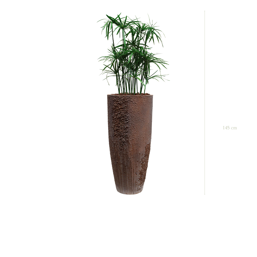 Le Papyrus - Pot Oyster #Stabilisé