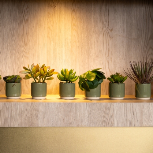 Le Lot de 9 plantes - Pots Verts #Artificiel