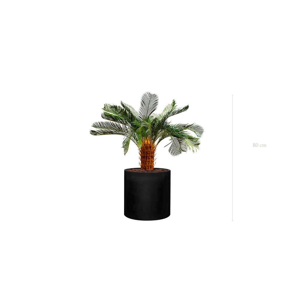 Le Petit Cycas - Cylindre Noir #Artificiel
