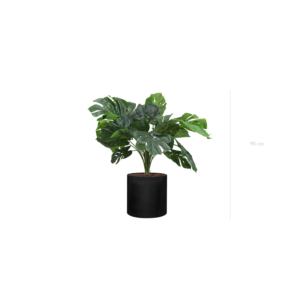 La Petite Monstera - Cylindre Noir #Artificiel