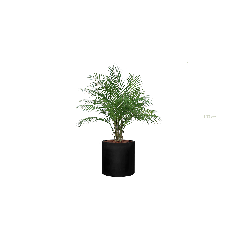 The Palm – Black Cylinder #Artificial