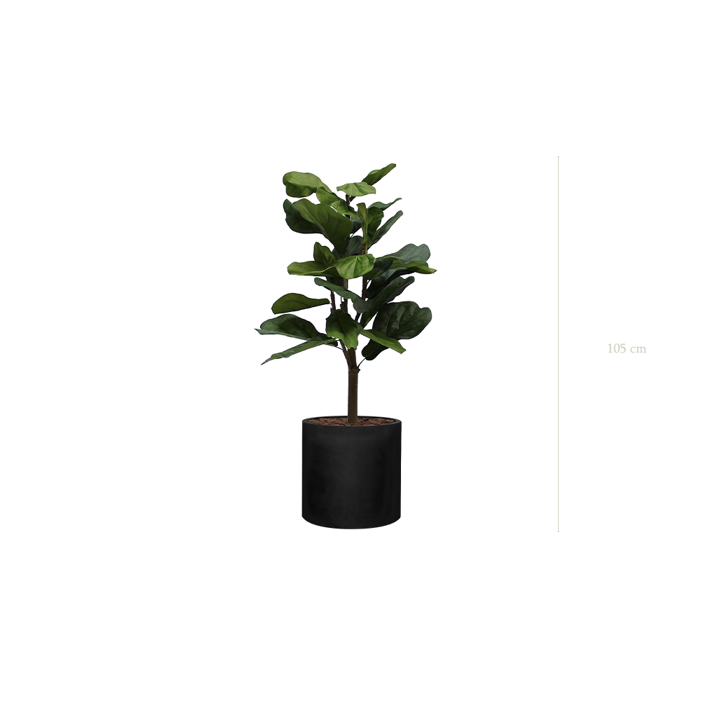 Le Lyrata - Cylindre Noir #Artificiel