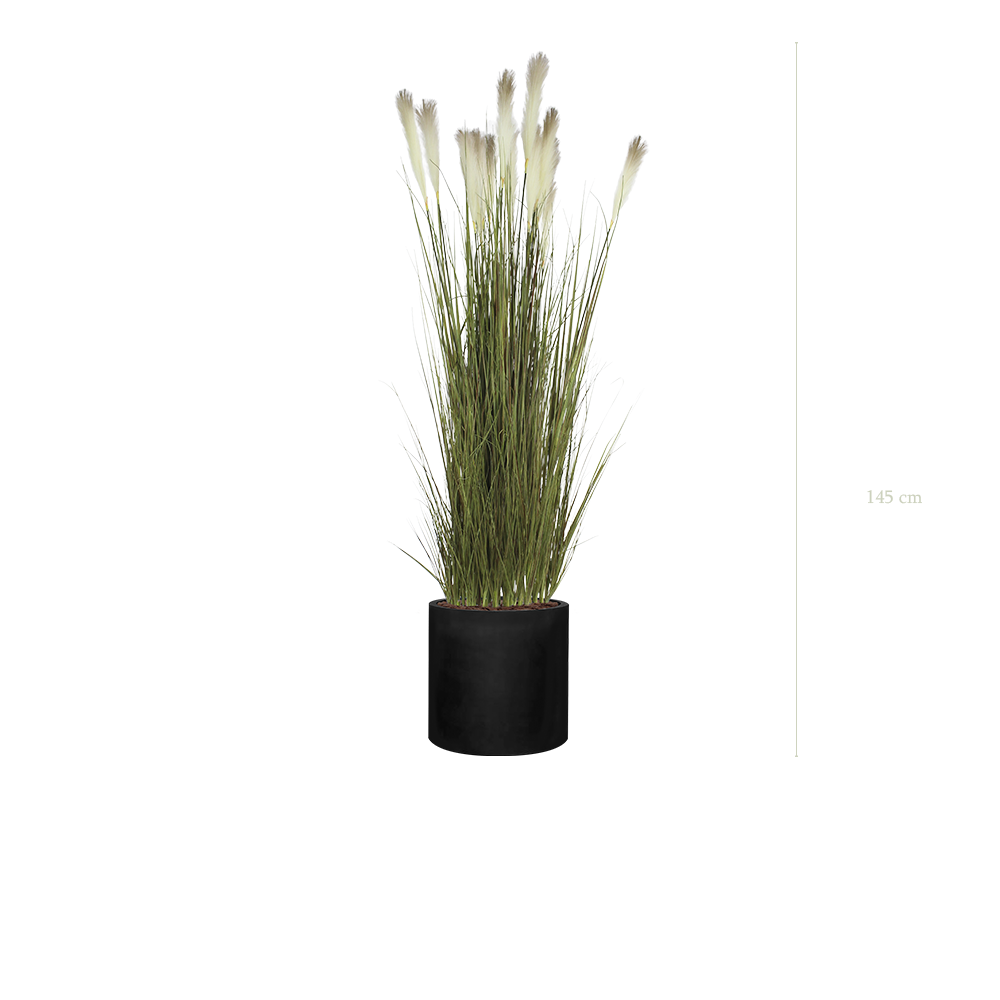 La Pampa - Cylindre Noir #Artificiel