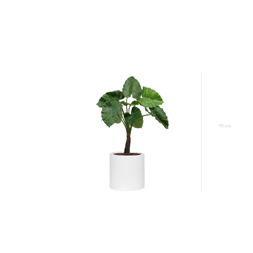 Le Petit Alocasia - Cylindre Blanc #Artificiel
