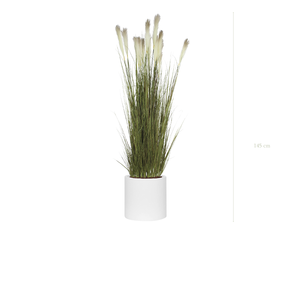 La Pampa - Cylindre Blanc #Artificiel