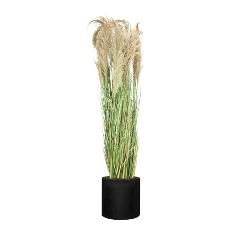 La Grande Pampa - Cylindre Noir #Semi-Naturel
