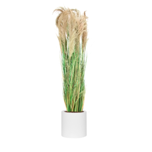 La Grande Pampa - Cylindre Blanc #Semi-Naturel
