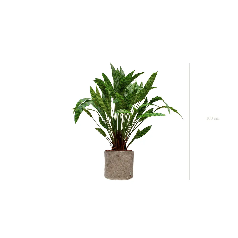 Le Calathea - Pot Tissu Beige #Artificiel
