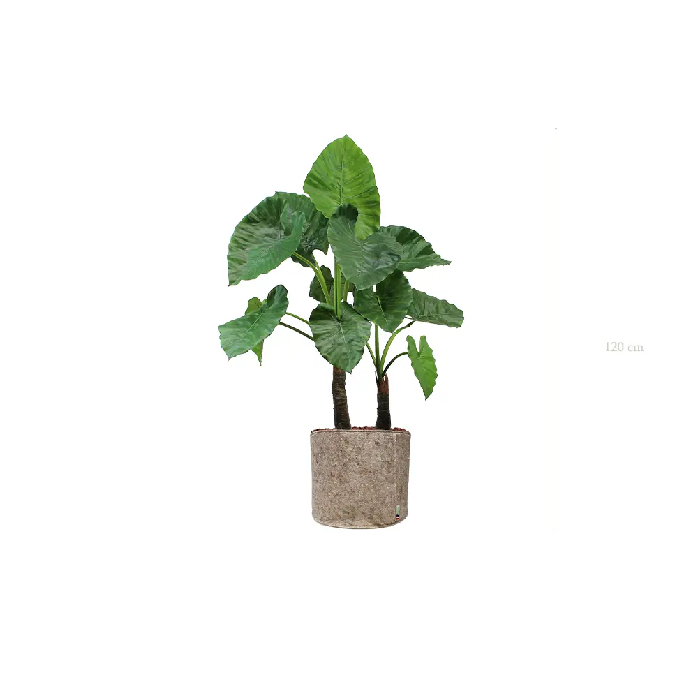 Die Große Alocasia - Beiger Stofftopf #Künstlich