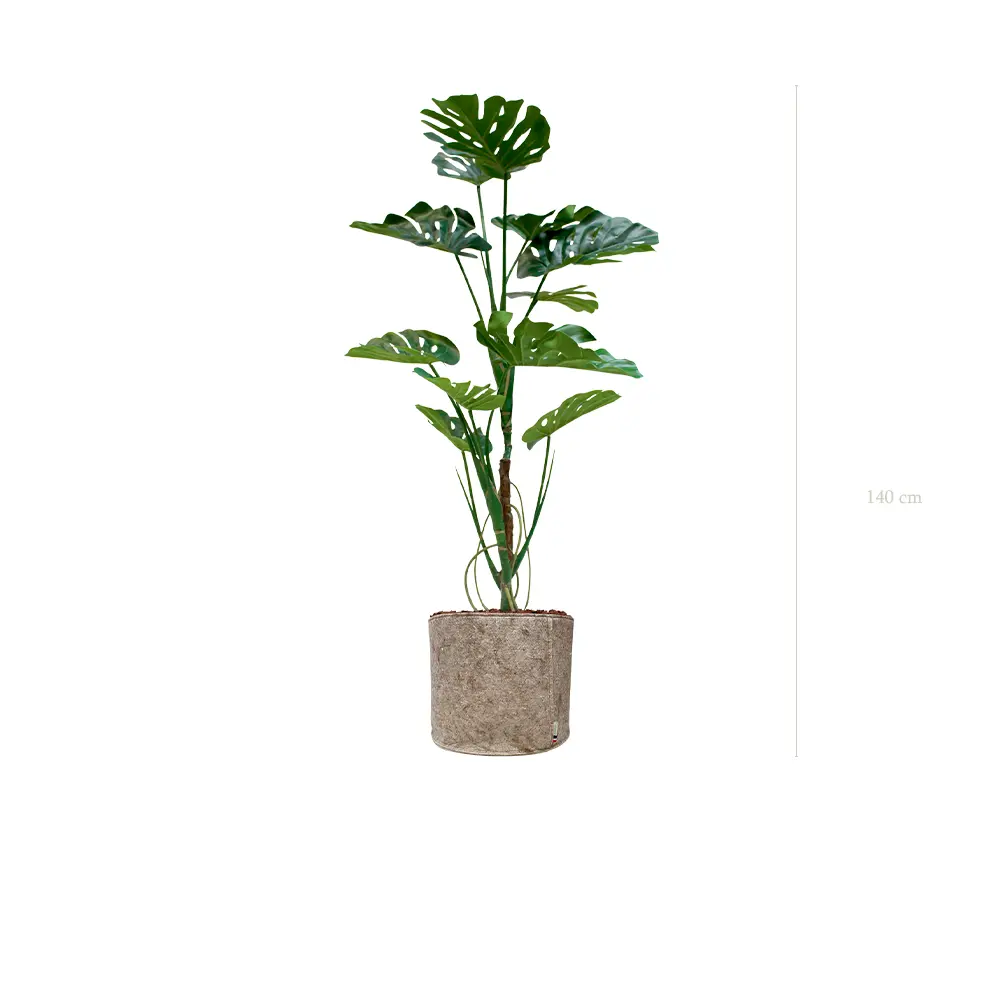 La Monstera - Pot Tissu Beige #Artificiel