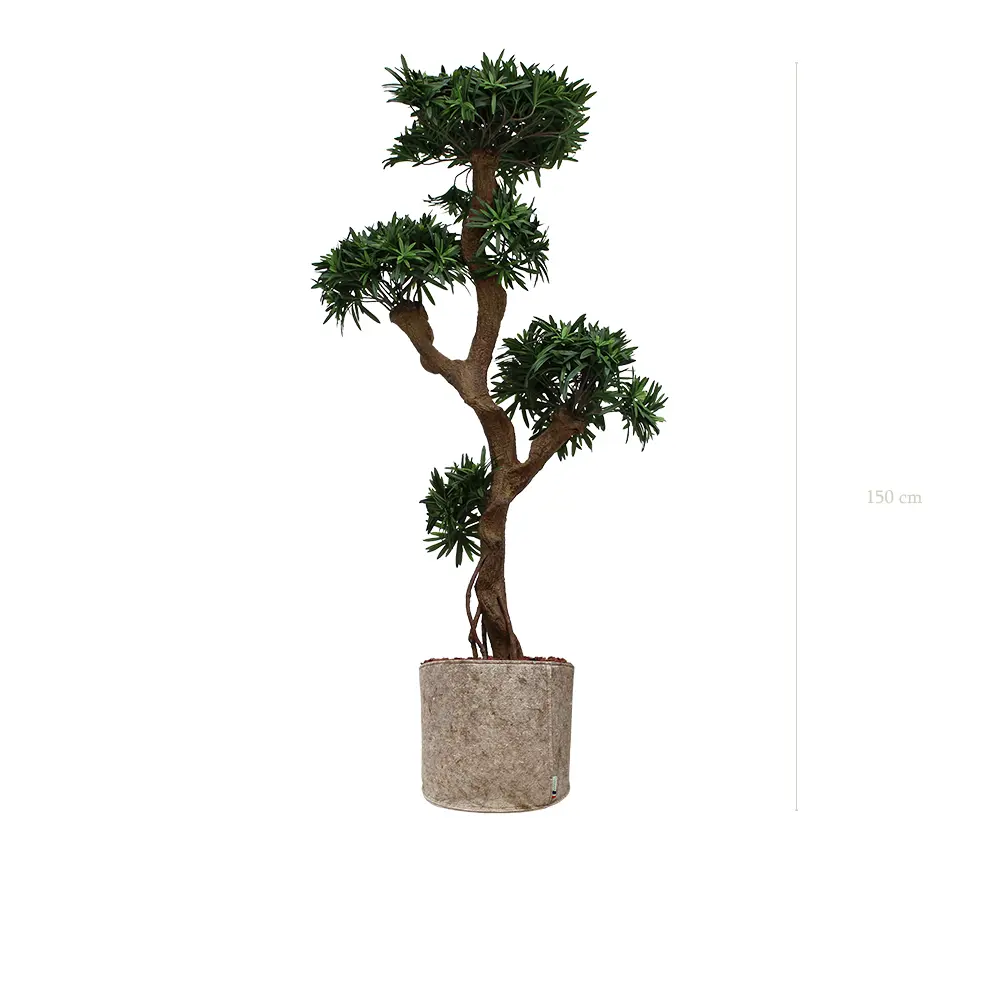 Der Podocarpus - Beiger Stofftopf #Künstlich