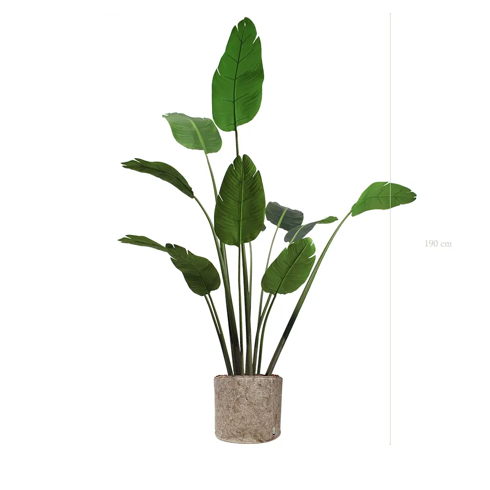 The Banana Tree – Beige Fabric Pot #Artificial
