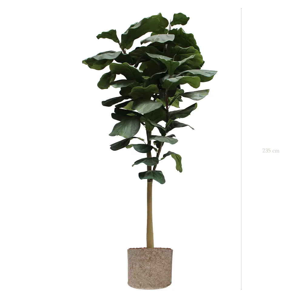 The Large Lyrata – Beige Fabric Pot #Artificial