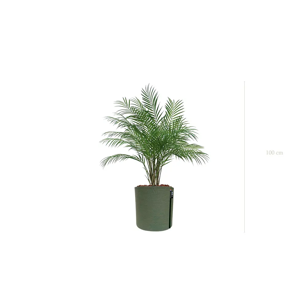 Le Palm - Pot MyBac #Artificiel