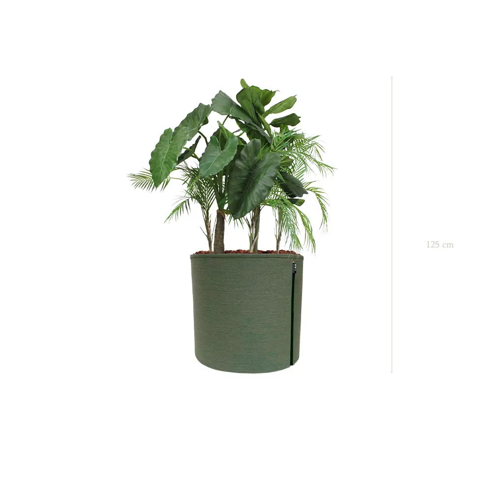 The Palawan – MyBac Pot #Artificial