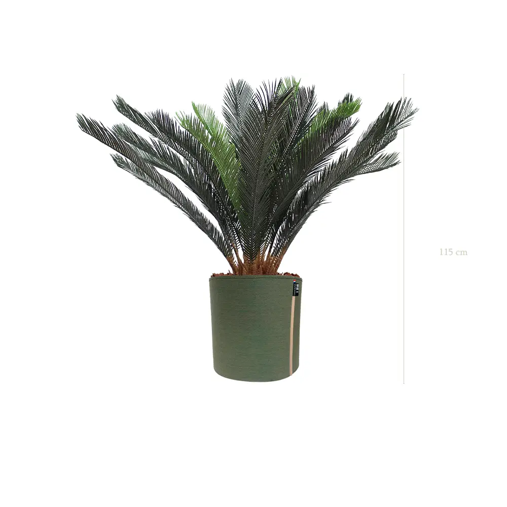 The Cycas – MyBac Pot #Artificial