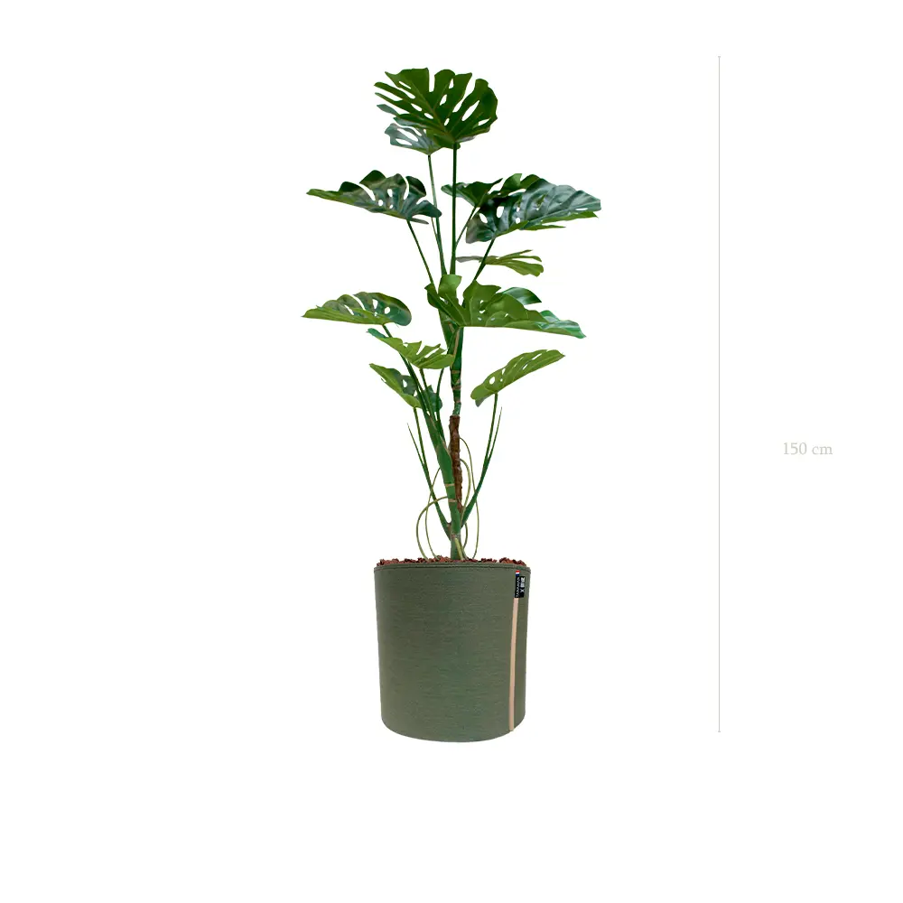 La Monstera - Pot MyBac #Artificiel